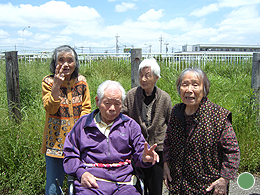 近くの土手へ散歩